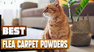 best flea carpet powder in 2024 top