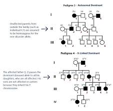 Decoding Pedigrees Made Easy