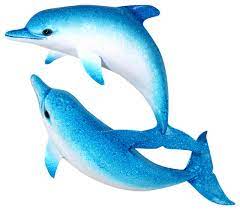 Double Dolphins Wall Decor 18 Inch