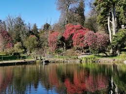 picture of kilmacurragh botanic gardens