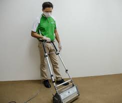 professional carpet cleaning advice