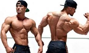 Jeremy Buendia Steroids Cycle Evolutionary Org