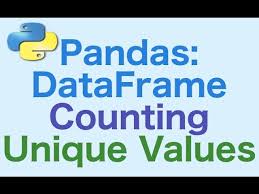 40 pandas dataframes counting and
