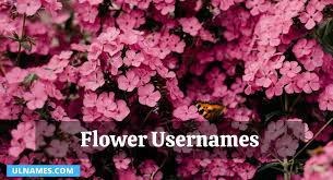 293 best flower usernames 2023 cool