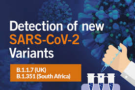 Jan 28, 2021 · novavax's vaccine works well — except on variant first found in south africa an early analysis in britain found that the vaccine had an efficacy rate of nearly 90 percent. Eurofins Technologies Offers A New Molecular Solution To Detect Sars Cov 2 Variants B 1 1 7 Uk And B 1 351 South Africa