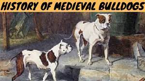 meval old english bulldogs