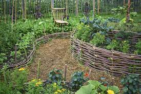 the kitchen garden layout ideas and tips
