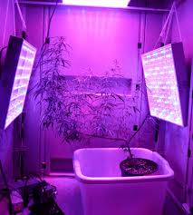 Maybe you would like to learn more about one of these? How To Grow Weed Basics Tutorial Part 3 Lighting 420 Big Bud