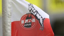 Mainz deliver late sucker punch to sink fc köln in crucial relegation match. Sq2qbuwbvkpgym
