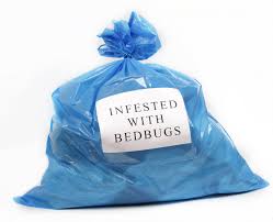 can bed bugs live on plastic mattresses
