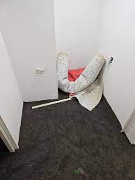 small carpet laying job 935885
