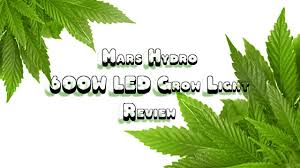 Mars Hydro 600w Led Grow Light Review For Cannabis Growing