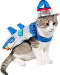15 best halloween costumes for cats in