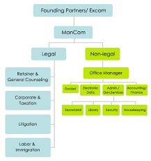 Partnership Firm Organizational Chart Bedowntowndaytona Com
