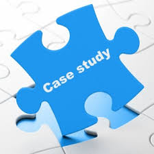 Case Study Template        Free Word  PDF Documents Download    Free     The Business Journals
