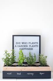 How To Create A Diy Herb Garden At Home