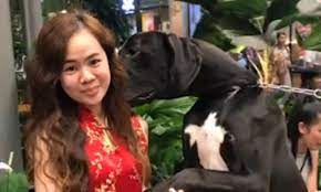 Clingy Great Dane grabs hold of Thai woman and traps her in headlock |  Daily Mail Online