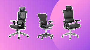 the best office chair for back pain in