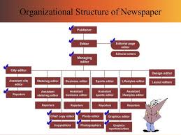 Organisational Structure Of N M