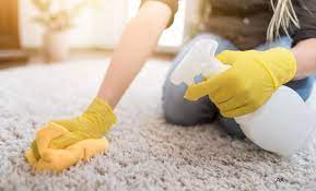 will carpet cleaner kill mold