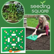 seed sowing template square seedling