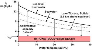 Global Warming On Dissolved Oxygen