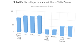 Emerging Opportunity In Paclitaxel Injection Market With