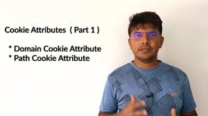 cookie attributes domain cookie