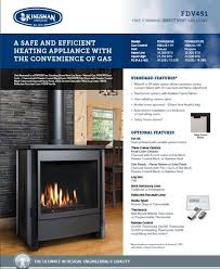 Direct Vent Gas Stove