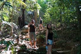 Frim or forest research institute of malaysia is a must visit for nature lovers who are in the capital city of kuala lumpur. Susannahkellerfinn