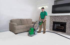 carpet cleaning ta fl residential