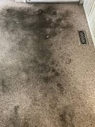 hadley s advanced clean carpet cleaning