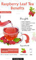 Raspberry tea benefits