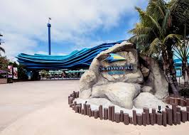 Sea world is suitable for kids of all ages and adults who want to see amazing marine life! Seaworld San Diego