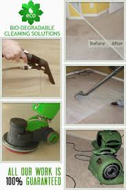 sunbird cleaning services carpet and
