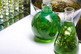 algae bioreactor images free vectors
