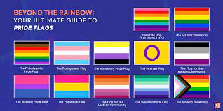 I think it's better to have one universally respected flag than a. Beyond The Rainbow Your Ultimate Guide To Pride Flags