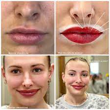 lip liner and filler brow design by dina