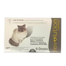 Revolution Rx For Cats 15 1 22 Lbs 6 Month Taupe