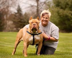 Petfinder has helped more than 25 million pets find their families through adoption. Mercy S Door Pet Rescue Ohio Home