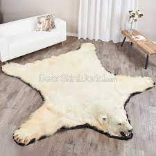 bearskin rug history