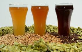 how to choose the best ipa recipe mr