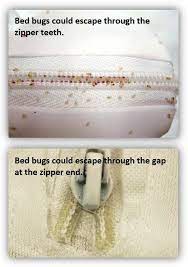 Mattress Encasements For Bed Bugs