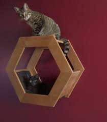 wall mounted cat shelf habicat by