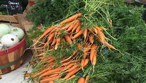 carrots how to grow it