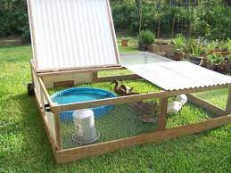 Once you know how big to make the coop and its opening, you can use lumber, plywood, and siding to construct a coop to your exact specifications. Anyone Have Pictures Of Their Duck Shelters Duck Coop Chickens Backyard Backyard Ducks