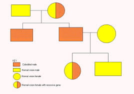 A Graph A Day Colorblindness Pedigree Chart