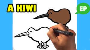 how to draw a kiwi cute s