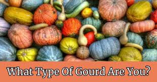 However, pumpkin spice is very easy to make and you can add it to everything. What Type Of Gourd Are You Quizlady