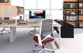 Executive Office Design Features And